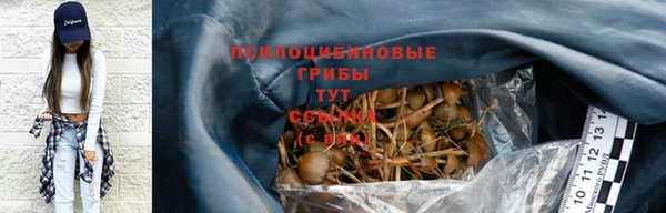 спайс Медвежьегорск